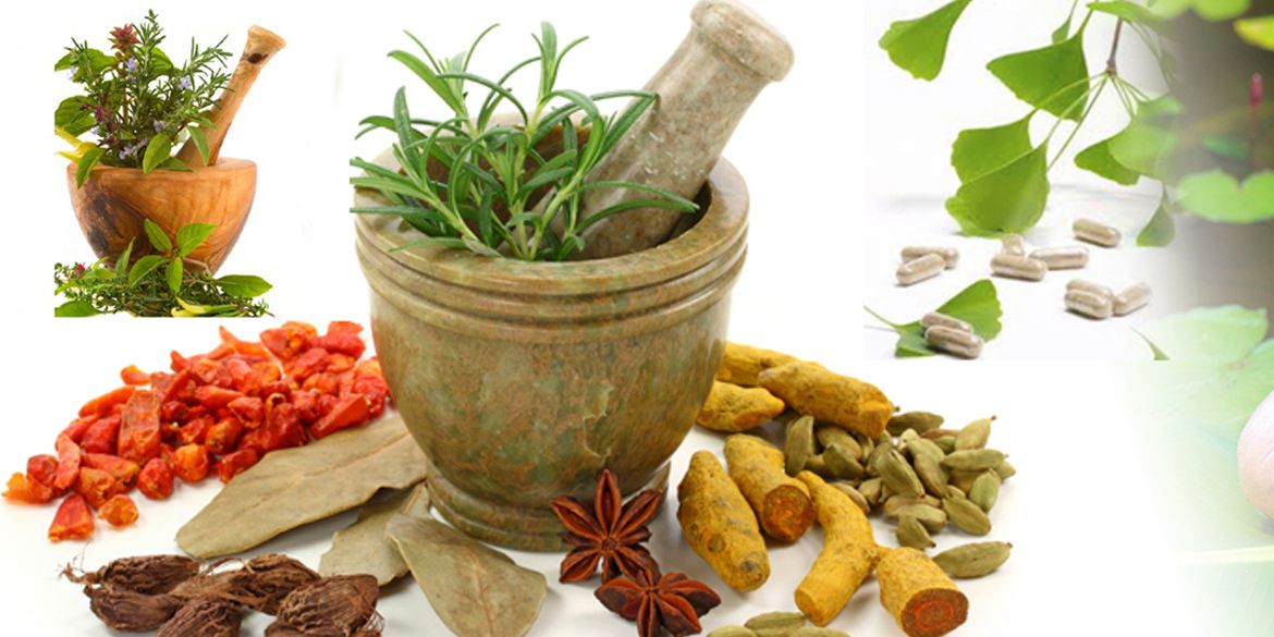 Matunga Ayurvedic-slide5